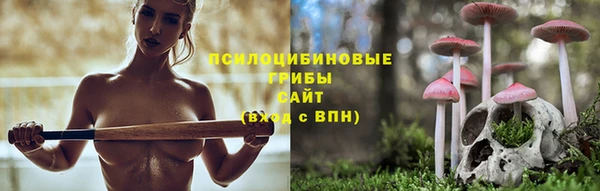 кокаин колумбия Алексин