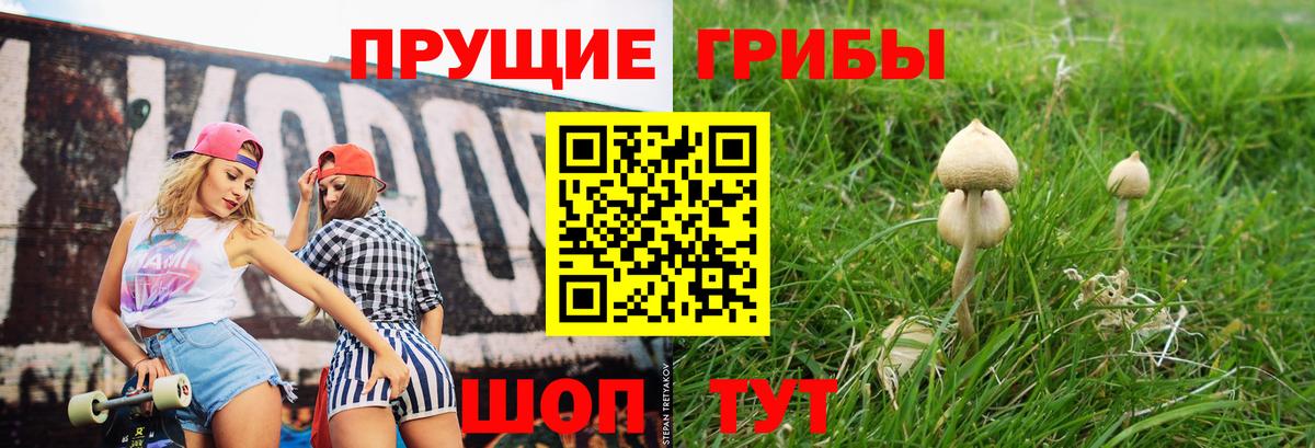Галлюциногенные грибы Psilocybe Владивосток