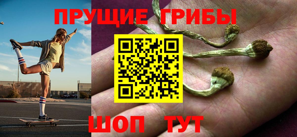 хочу наркоту  Галлюциногенные грибы Cubensis  Владивосток  Вход с VPN  Галлюциногенные грибы Psilocybine cubensis 